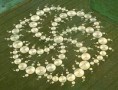 /album/resim-galerisi/crop-circles-swirl-jpg/